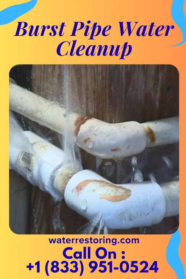 Burst Pipe Water Cleanup in Clinton, LA